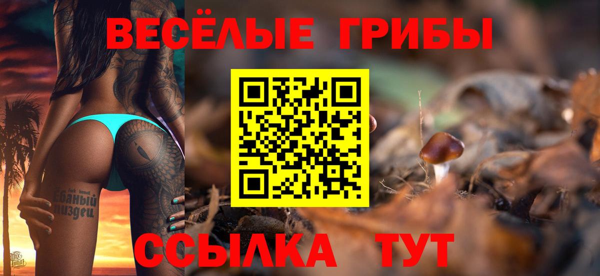 Галлюциногенные грибы MAGIC MUSHROOMS  Вход с VPN  Галлюциногенные грибы мухоморы  Владикавказ 