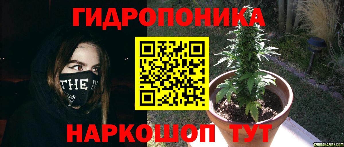 МАРИХУАНА гибрид Владикавказ